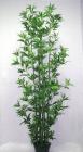 Bamboo Tree